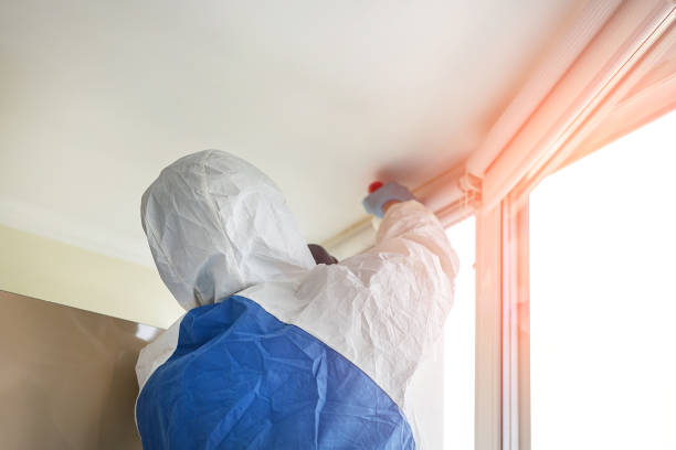 Asbestos and Lead Testing During Mold Inspection in Mukwonago, WI