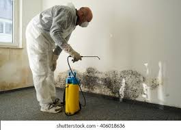 Why You Should Choose Our Mold Remediation Services in Mukwonago, WI